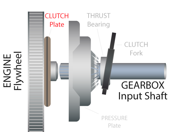 a complete clutch cut out from its background laid out at a slight angle